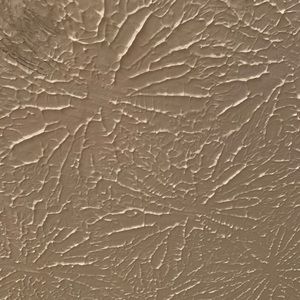 Meet your Posher, Jared